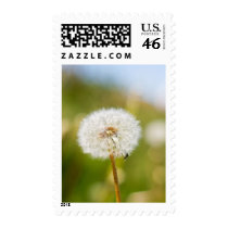 Dandelion stamps