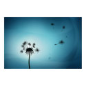 Dandelion posters by vladstudio Dandelion posters