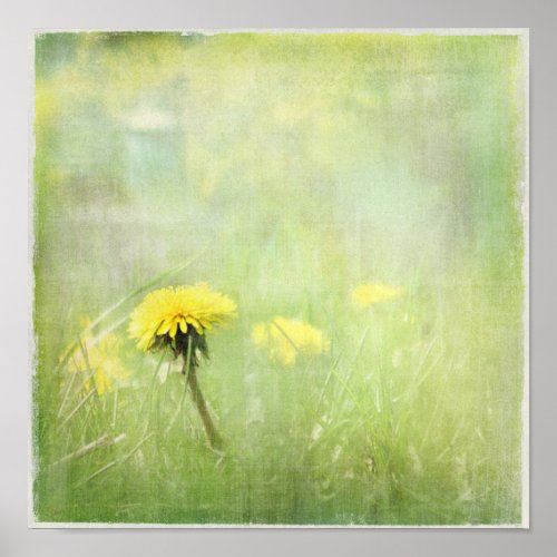 Dandelion print