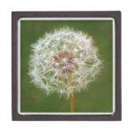 Dandelion premium gift boxes