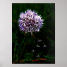 dandelion print