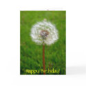 Dandelion Puff, Happy Birthday! cards