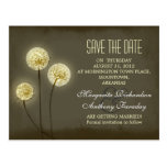 dandelion save the date stylish postcards