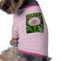 Dandelion Seed pet clothing