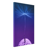 Dandelion Seed Macro Photo On Canvas Gallery Wrap Canvas
