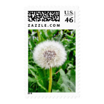 Dandelion Seed postage by lifesphere Dandelion Seed postage