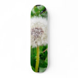 Dandelion Seed Custom Skate Board