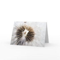 Dandelion Seeds card - Macro cards
