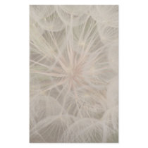 Dandelion Seeds Stationery