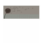Dandelion Shirt