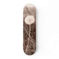 dandelion skateboard