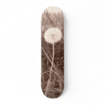dandelion skateboard