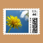 Dandelion Sky Stamp