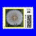 Dandelion Stamp