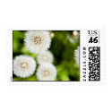 Dandelion Stamp by mindystrauss Dandelion Stamp