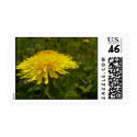 Dandelion Stamps by sarabara07 Dandelion Stamps