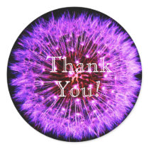 Dandelion stickers