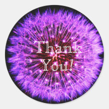 Dandelion Sticker