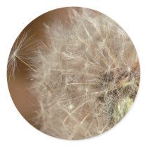 Dandelion Stickers by mlane53 Dandelion Stickers
