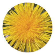 Dandelion Stickers stickers