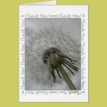 Dandelion Thank You Card cards
