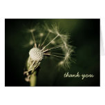Dandelion thank you note cards cards