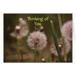 Dandelion Thinking of You Card