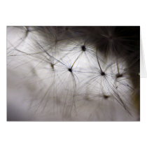 Dandelion Whisper card cards