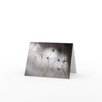 Dandelion Whisper note card cards