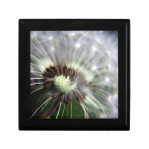 Dandelion wooden gift and jewelry box gift boxes