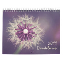 Dandelions 2011 calendar