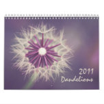 Dandelions 2011 calendar