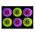 Dandelions cards by ggbythebay Dandelions cards