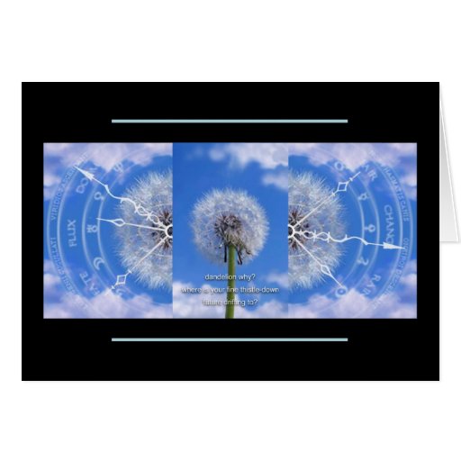 Dandelions card