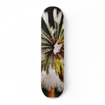 Dandelions Dew skateboards by lifesphere Dandelions Dew skateboards
