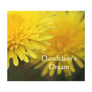 Dandelion's dream. Pretty yellow wild flower Stretched Canvas Print