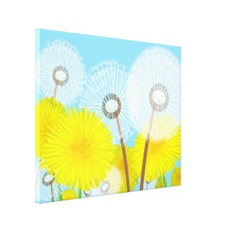 Dandelions Gallery Wrapped Canvas