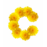 Dandelions letter C Shirt