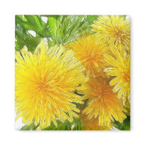Dandelions! Magnet