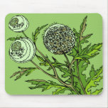 Dandelions mousepads