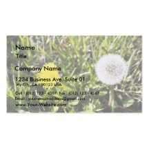 Dandelions On The Meadow Business Card