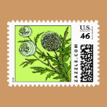 Dandelions stamps