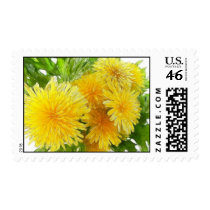 Dandelions! Stamps