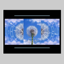 Dandelions postcard postcards