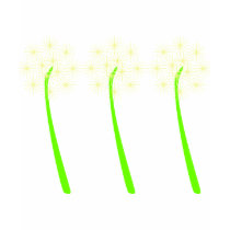 Dandelions T shirt by stikstikly Dandelions T shirt