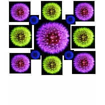 Dandelions. t-shirts