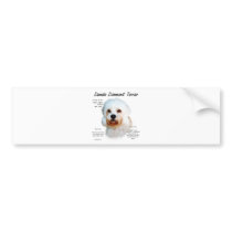 Dandie Dinmont Terrier History Design Bumper Stickers