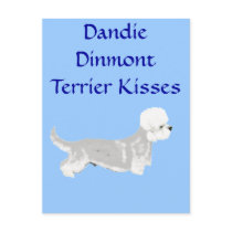 Dandie Dinmont Terrier - Kisses Post Card