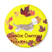 Dandie Dinmont Terriers Rock !! Magnets