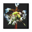"Dandy" Fridge Magnet by ChelseaKerwath "Dandy" Fridge Magnet
